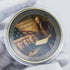 America 250th Anniversary Coin Featuring Declaration of Independence