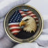 America 250th Anniversary Coin Featuring Declaration of Independence