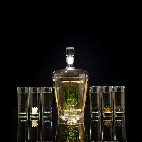 Tequila Decanter Tequila Glasses Set with Agave Decanter and 6 Sipping Shot Glasses