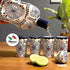 Tequila Ceramic Decanter with 4 Tequila Shot Glasses